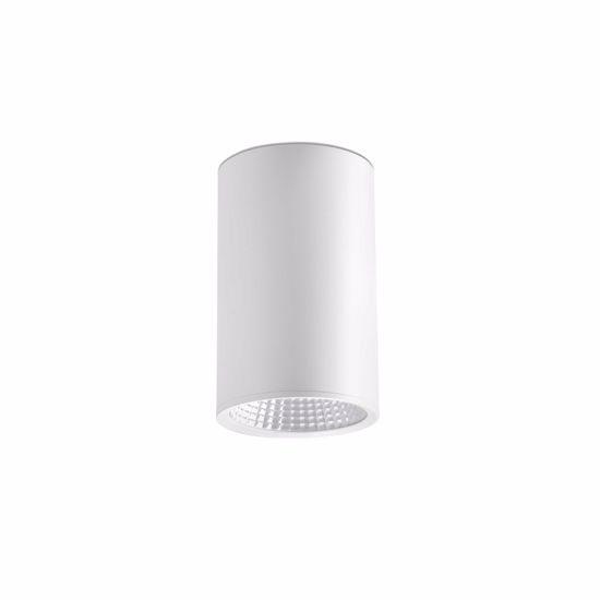 Picture of Faro rel ceiling spot led 25w white cylinder metal