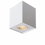 Ceiling light white metal shape with an adjustable light