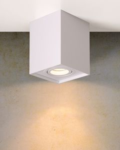 Ceiling light white metal shape with an adjustable light