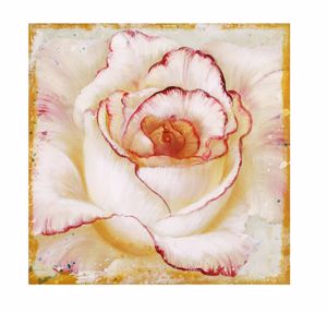 Picture of Wall art white rose 100x100 canvas print