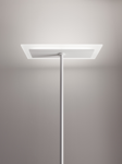 Linea light dublight led floor lamp satin white 29w 182cm