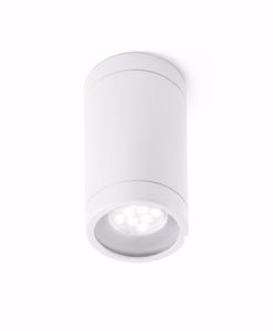 Picture of Ceiling spotlight white cylinder for indoor/outdoor