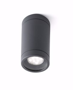 Picture of Cylinder ceiling spotlight for indoor/outdoor white colour