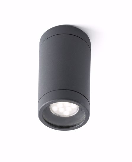 Cylinder ceiling spotlight for indoor/outdoor white colour