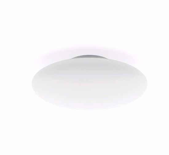 Picture of Linea light squash led ceiling lamp flattened sphere ø25cm