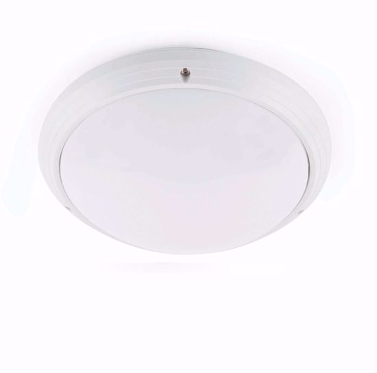Picture of Faro dakron outdoor ceiling lamp white