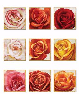 Picture of Manie 9 wall artwork multicolour rose 30x30cm print on canvas