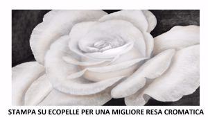 Picture of Quadro rosa bianca sbocciata 140x70 stampa su ecopelle alta qualità