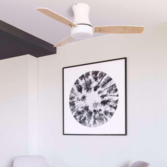 Picture of Faro tonsay ceiling fan with light bicolour blades
