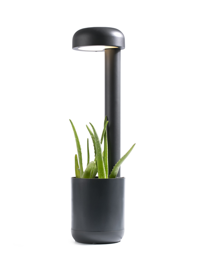 Picture of Faro barcelona grow led beacon lamp outdoor for garden ip65 small